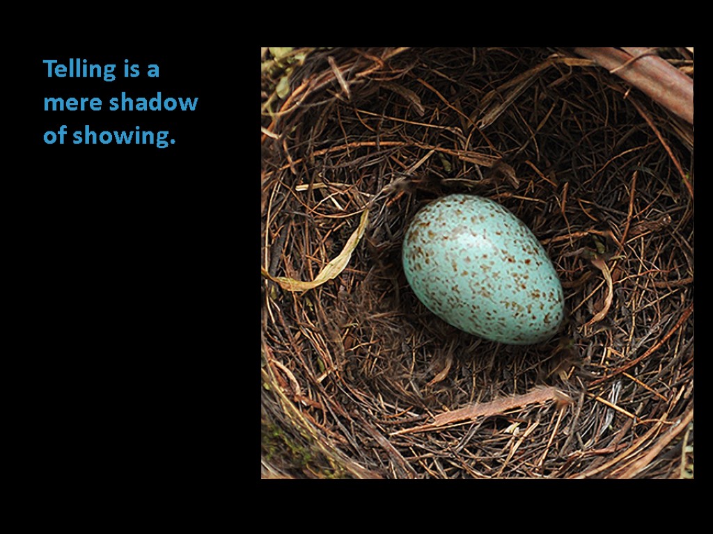 Telling is a mere shadow of showing.